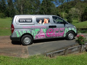 New Van & Car 002
